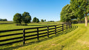 Chain Link Fence Installation